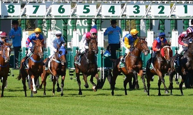 Photo de Fédération des Éleveurs du Galop