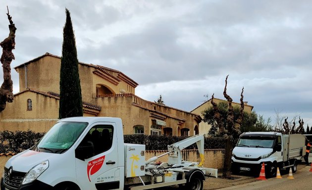 Photo de 🌳 Elagueur grimpeur arboriste 🌳 / spécialiste élagage et abattage arbres a risque & rognage de souche Aix-en-Provence