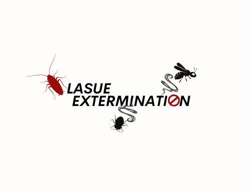 Photo de Lasue Extermination