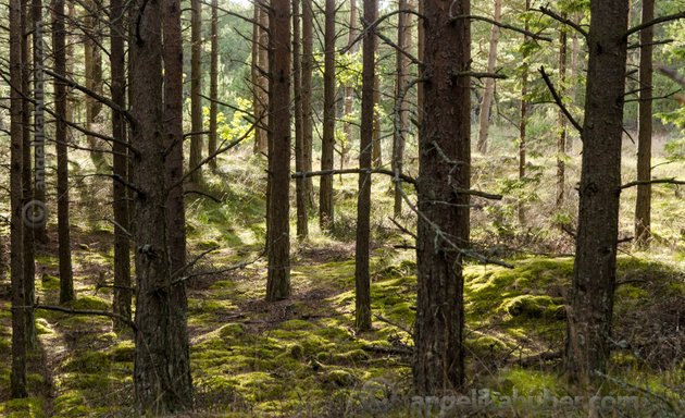 Foto von Angelika Huber - Kamerafrau für bewegtes Bild