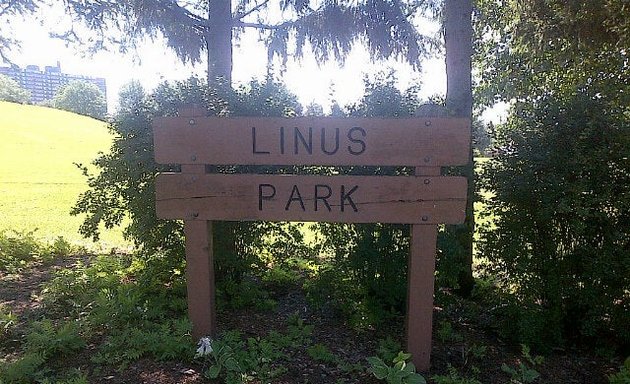 Photo of Linus Park
