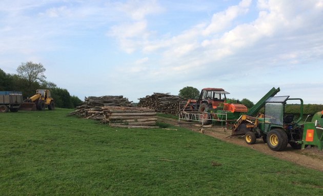 Photo of H Gill Tree Surgeon