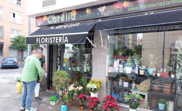 Foto de Floristería en Sevilla Carelia