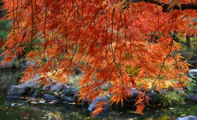 写真 天神山公園