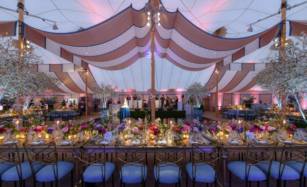 Photo of Elizabeth Allen Events