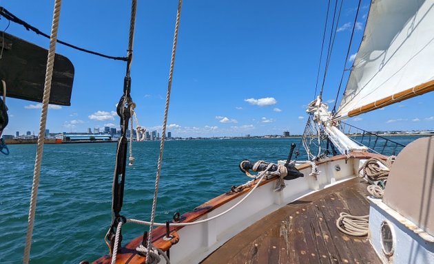 Photo of Liberty Fleet of Tall Ships Boston/Bahamas