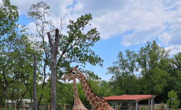 Photo of The Maryland Zoo in Baltimore