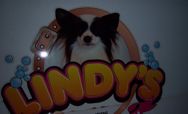 Photo of Lindy's (Mobile) Dog Grooming