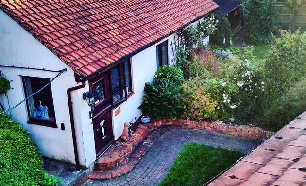 Photo of Chimneys Cattery