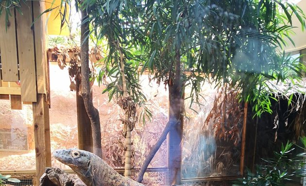 Photo of The Attenborough Komodo Dragon House