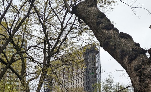 Photo of Madison Square Park