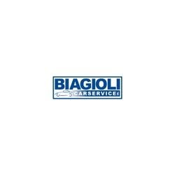 foto Biagioli Carservice S.R.L.