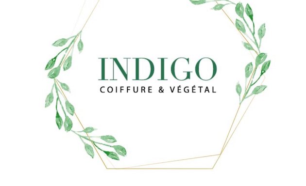 Photo of Indigo coiffure et végétal