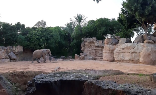 Foto de Zona de elefantes sur