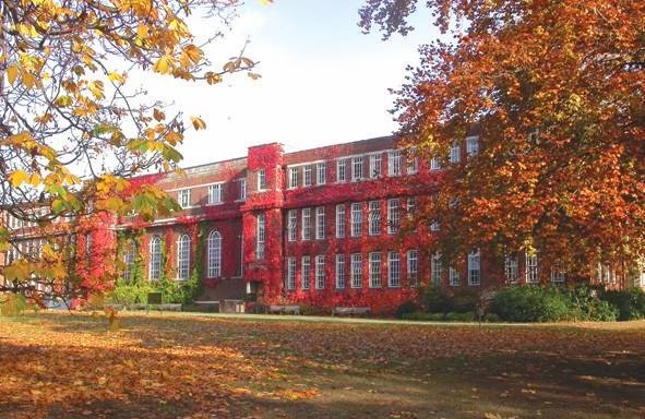 Photo of Webster Graduate School