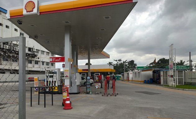 Photo of Shell 2