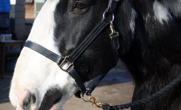 Photo of Eastminster School of Riding