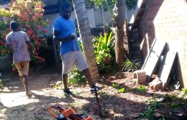 Photo of Smart Tree Felling and Garden Service