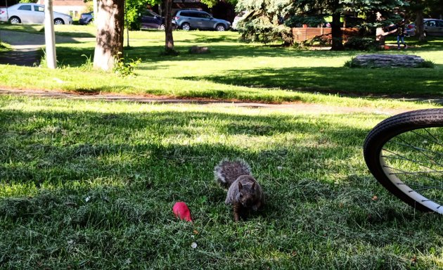 Photo of Parc Herbert-Outerbridge