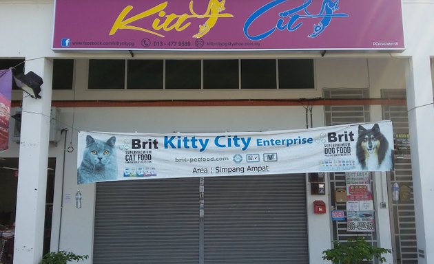 Photo of Kitty City