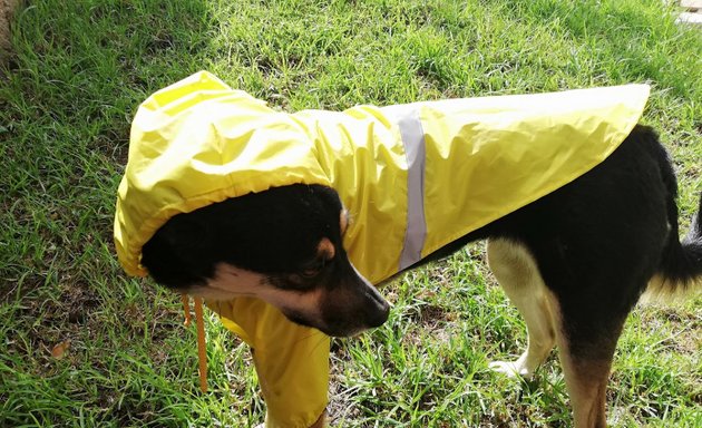 Foto de Oficinas Locos por los Perros