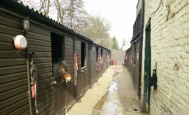 Photo of Stag Lodge Stables