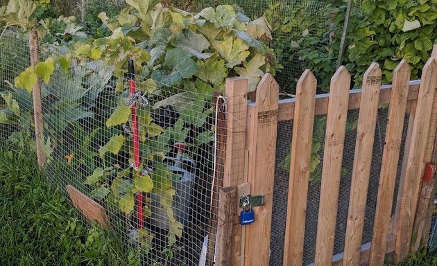 Photo of Nepean Allotment Garden Association (NAGA)