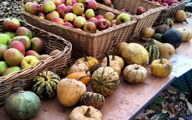 Photo of Oval Farmers' Market