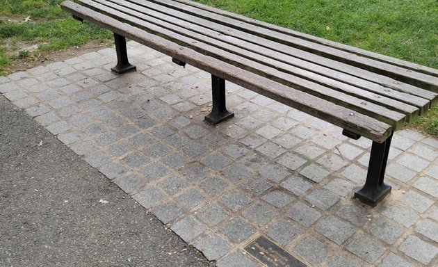 Photo of Robin Williams Park Bench from "Goodwill Hunting"