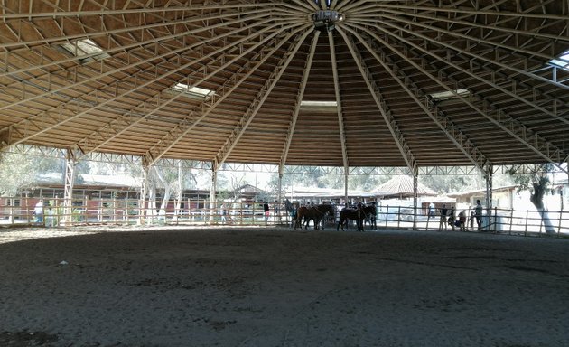 Foto de Club del Rodeo Chileno Gil Letelier