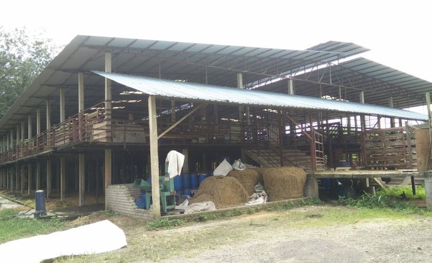 Photo of Golden Star Farm Sdn Bhd