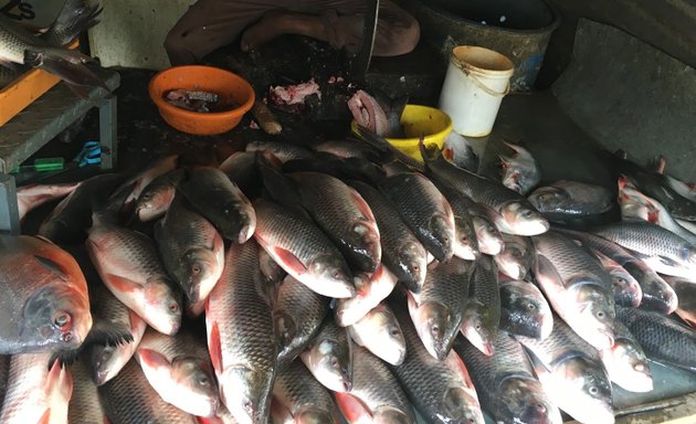 Photo of Sanjit fish Shop