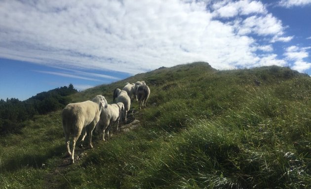 Foto von Rauszeit