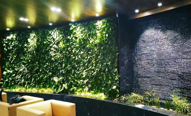 Photo of Natura India - Green Walls | Moss Walls | Vertical Gardens