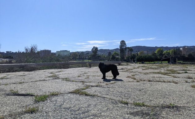 Photo of Libbit Park