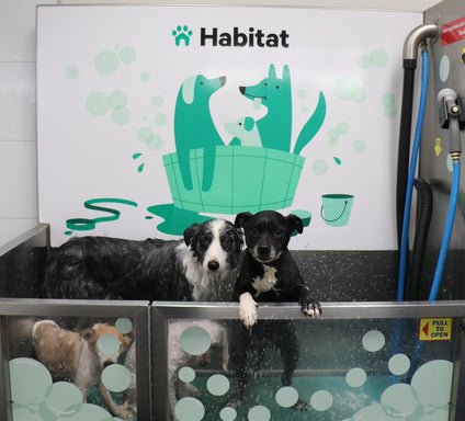 Photo of Habitat - Home to Pet Supplies