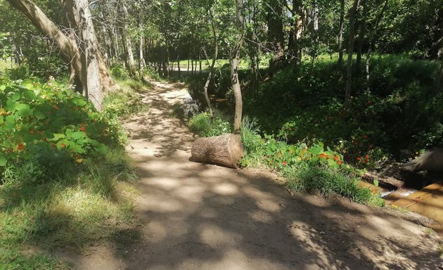 Photo of Silverhurst Trail