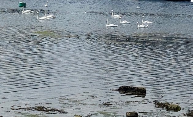 Photo of Sutton Harbour Marina