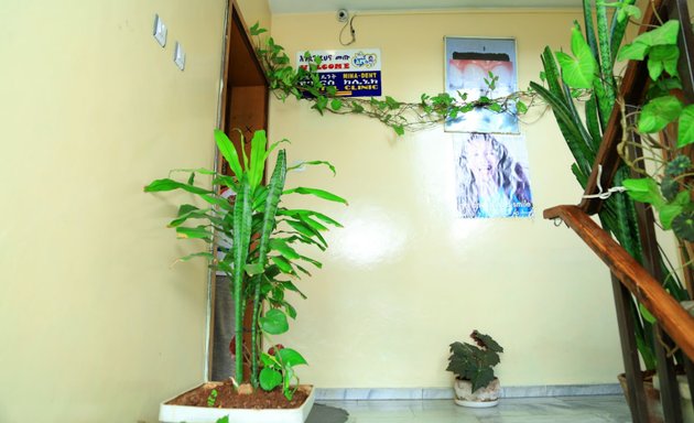 Photo of Mina Dent Special Dental Clinic