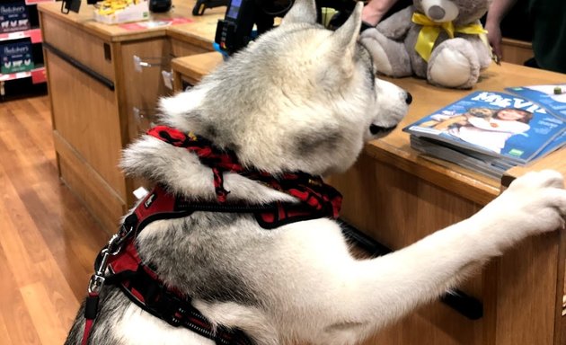 Photo of Pets at Home Battersea