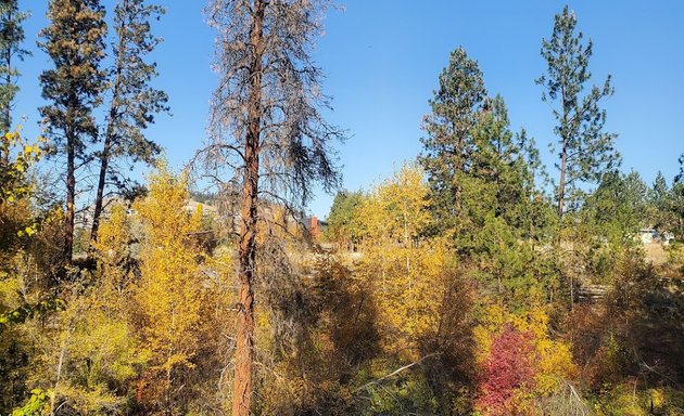 Photo of Gopher Creek Linear Park