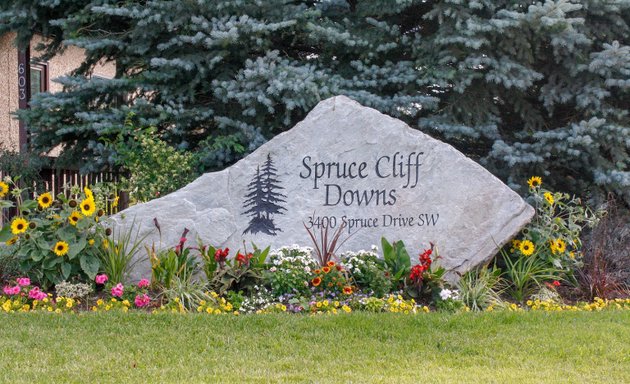 Photo of Spruce Cliff Downs