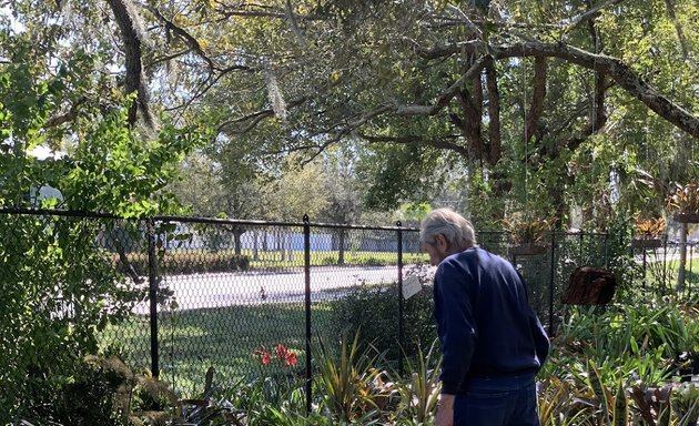 Photo of Faye's Place Plant Nursery