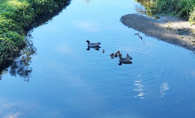 Photo of Sabot Court Park