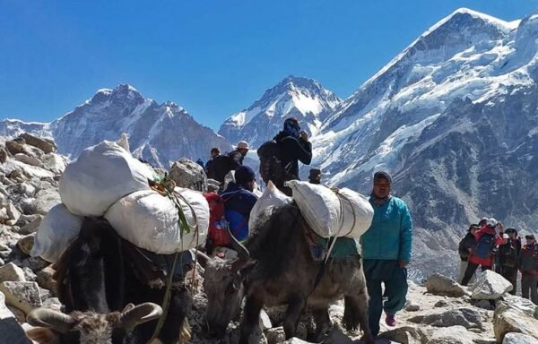 Photo of Himalayan Glacier Adventure and Travel Company