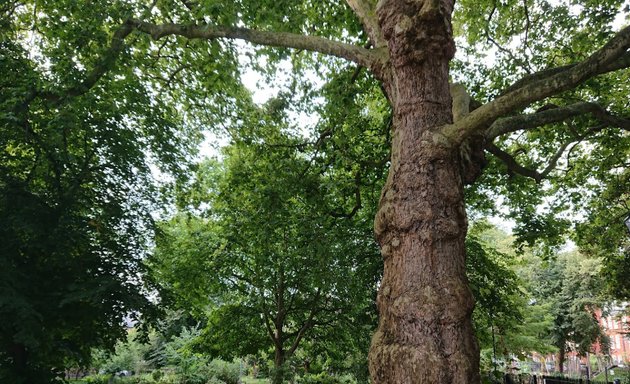 Photo of Canonbury Gardens