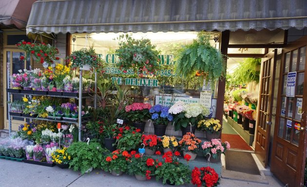 Photo of St Clair Flowers