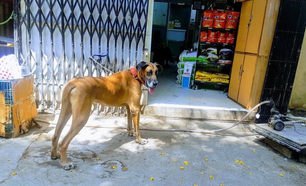 Photo of Dr.Nilima's Veterinary Clinic