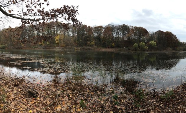 Photo of Oakland Lake