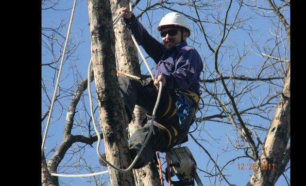 Photo of ArborJacks Tree Service